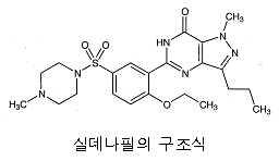 본문내 삽입된 이미지