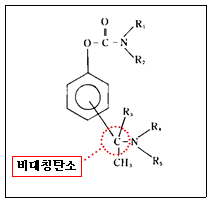 본문내 삽입된 이미지