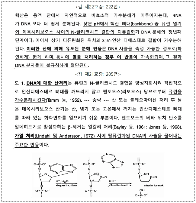 본문내 삽입된 이미지