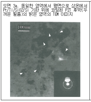 본문내 삽입된 이미지