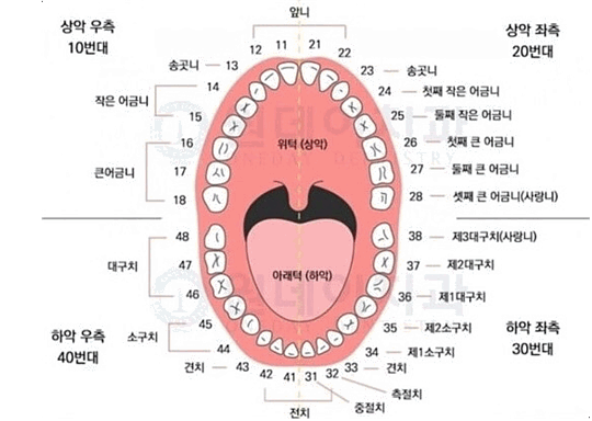 본문내 삽입된 이미지